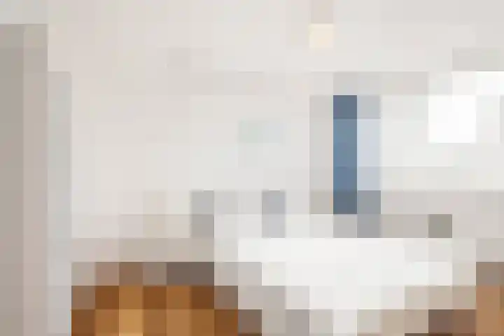 Boekhout 3 Steenbergen thumbnail 16