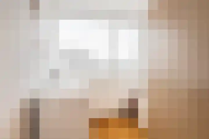 Boekhout 3 Steenbergen thumbnail 19