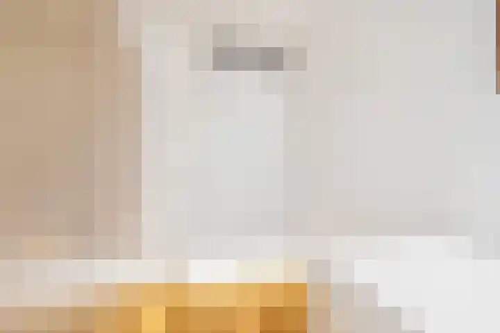 Boekhout 3 Steenbergen thumbnail 20