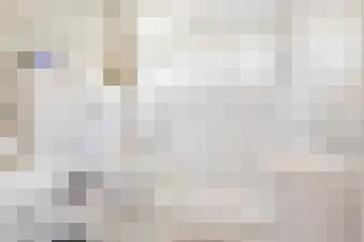 Boekhout 3 Steenbergen thumbnail 21