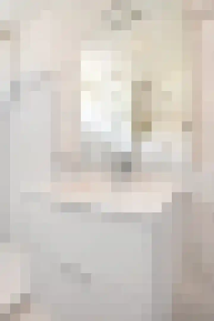 Boekhout 3 Steenbergen thumbnail 22