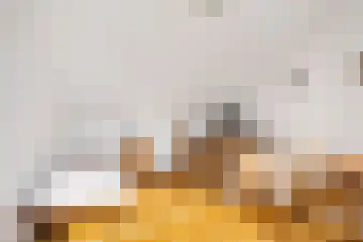 Boekhout 3 Steenbergen thumbnail 25