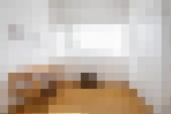 Boekhout 3 Steenbergen thumbnail 26