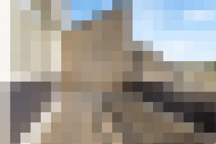 Boekhout 3 Steenbergen thumbnail 27
