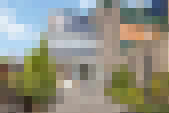 Boekhout 3 Steenbergen thumbnail 28