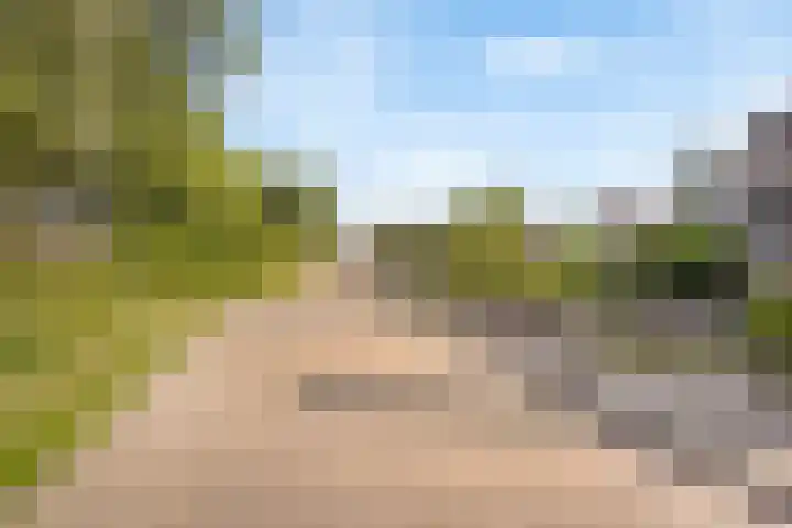 Boekhout 3 Steenbergen thumbnail 30