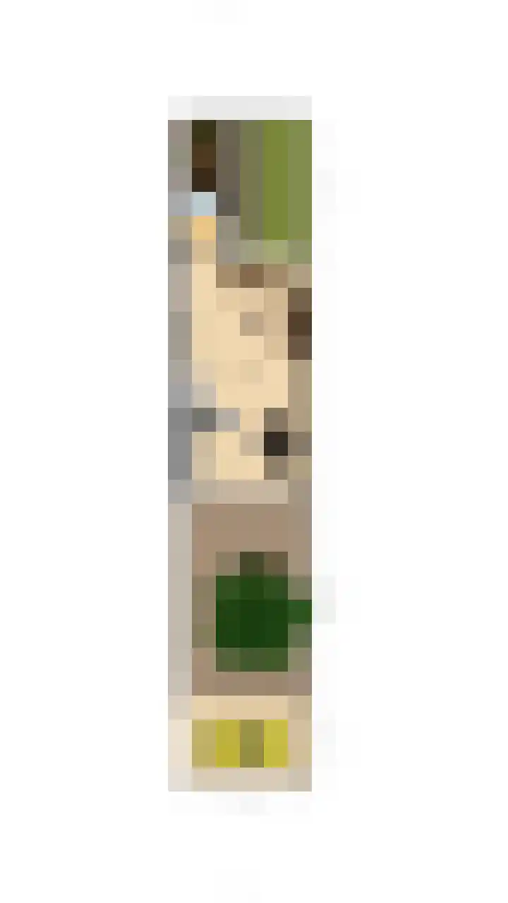 Boekhout 3 Steenbergen thumbnail 34