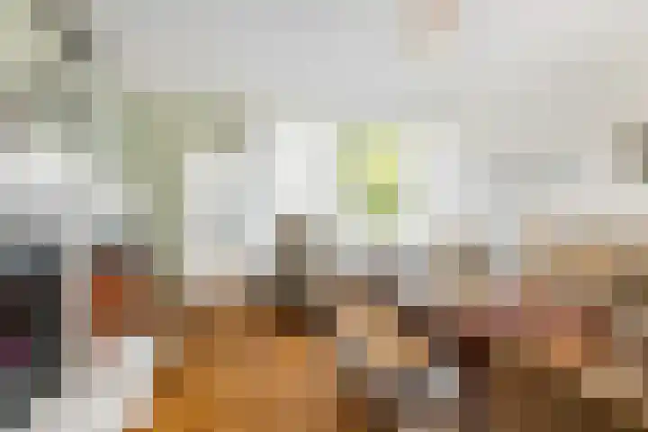 Boekhout 3 Steenbergen thumbnail 4