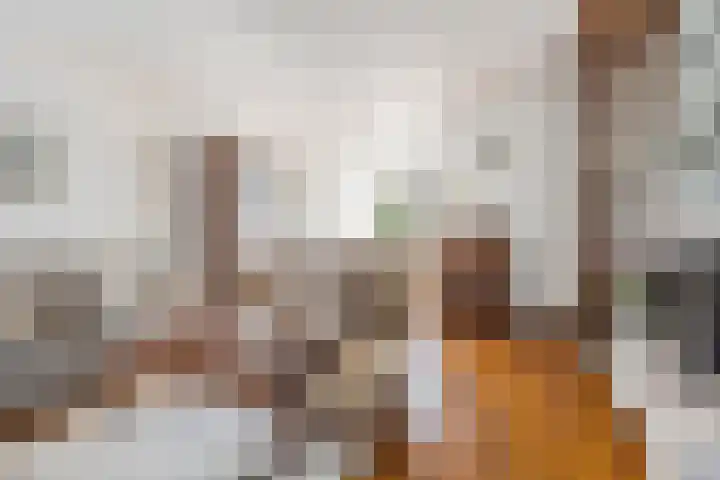Boekhout 3 Steenbergen thumbnail 7