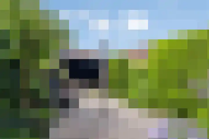 Boekvink 29 Veenendaal thumbnail 11