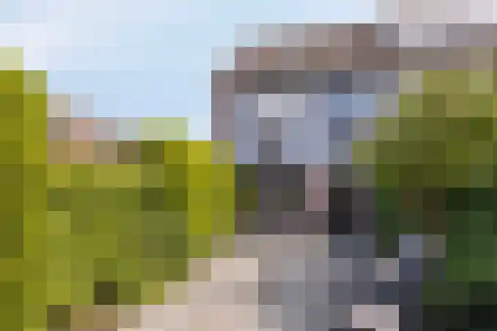 Boekvink 29 Veenendaal thumbnail 13