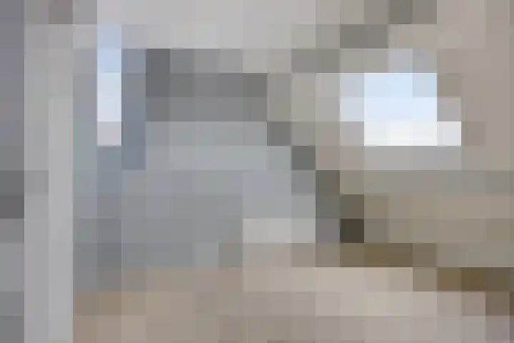 Boekvink 29 Veenendaal thumbnail 24