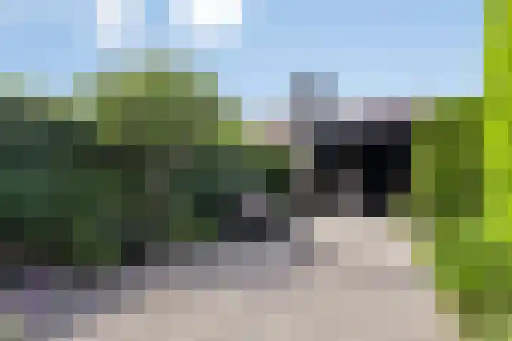 Boekvink 29 Veenendaal thumbnail 27