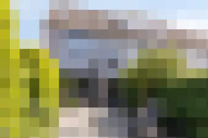 Boekvink 29 Veenendaal thumbnail 29