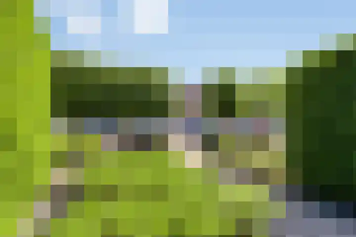 Boekvink 29 Veenendaal thumbnail 32