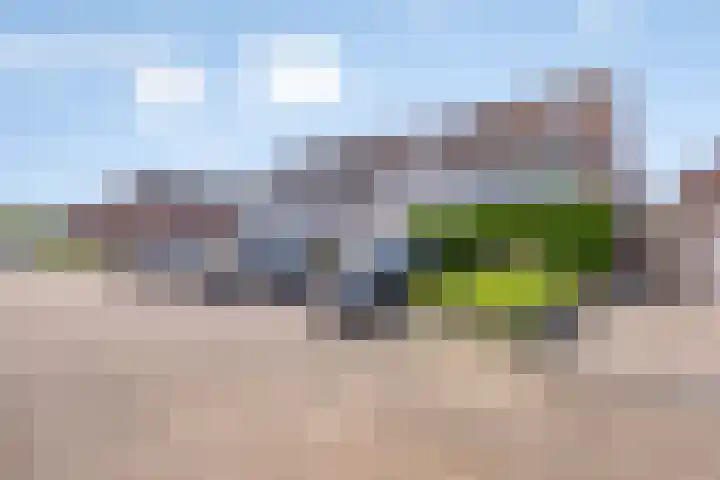 Boekvink 29 Veenendaal thumbnail 33