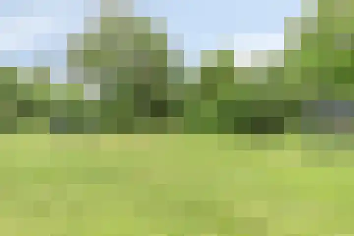 Boekvink 29 Veenendaal thumbnail 34