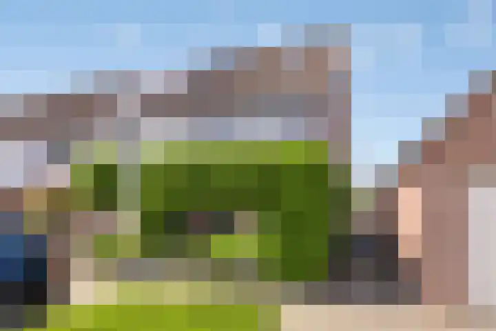 Boekvink 29 Veenendaal thumbnail 4