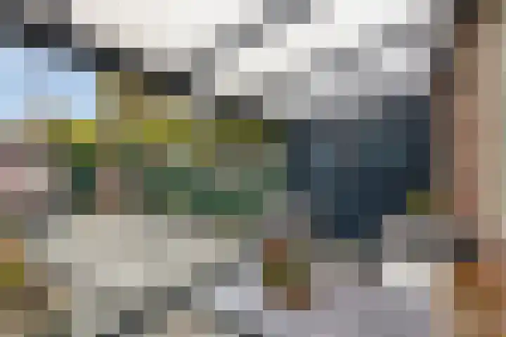 Boekvink 52 Veenendaal thumbnail 5