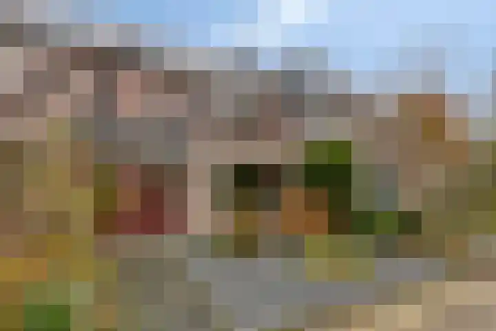 Boekvink 52 Veenendaal thumbnail 6