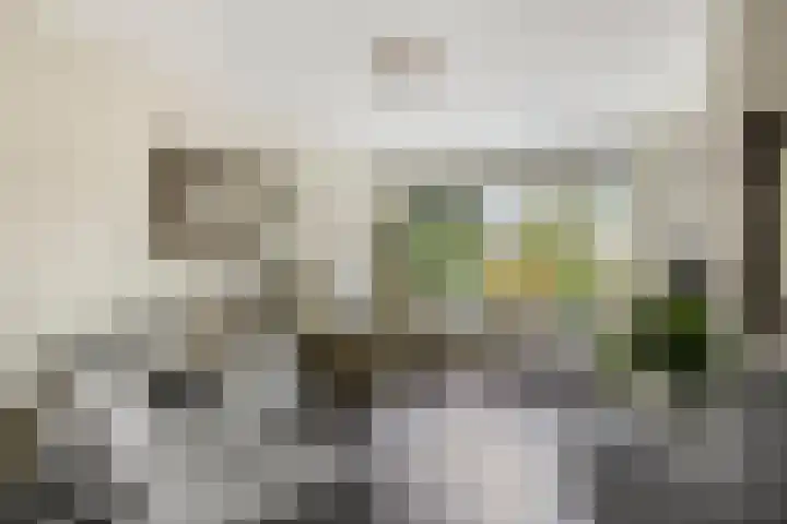 Boekvink 52 Veenendaal thumbnail 8