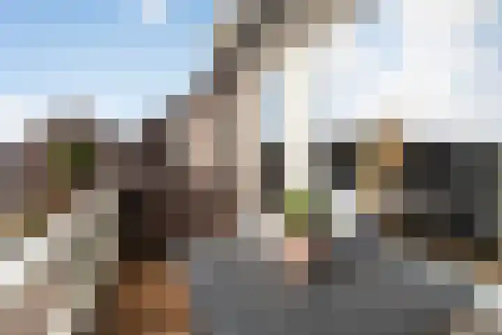 Boekvink 62 Veenendaal thumbnail 23