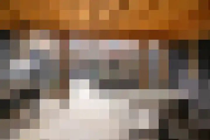 Boekvink 62 Veenendaal thumbnail 42