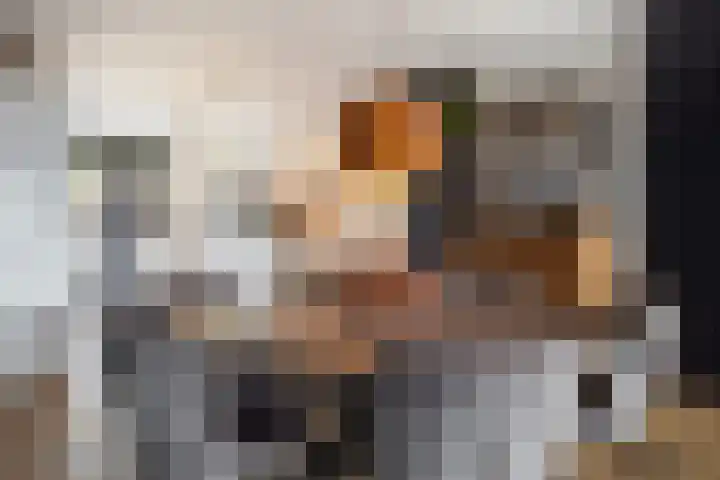 Boekvink 62 Veenendaal thumbnail 7