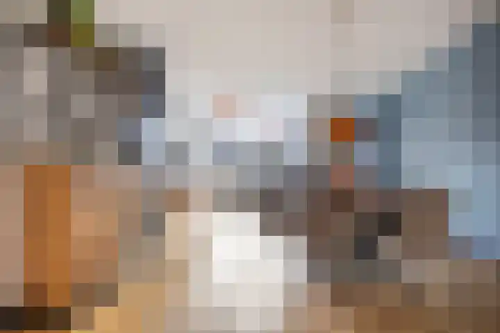 Boekvink 62 Veenendaal thumbnail 8
