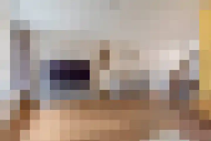Boekweit 10 Eersel thumbnail 11