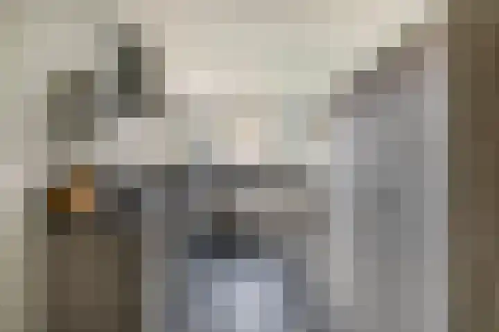 Boekweit 10 Eersel thumbnail 14