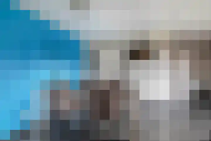 Boekweit 10 Eersel thumbnail 17