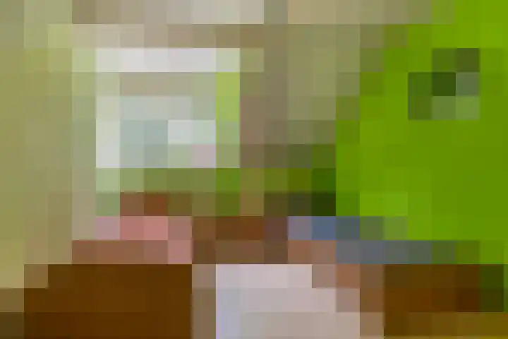 Boekweit 10 Eersel thumbnail 24