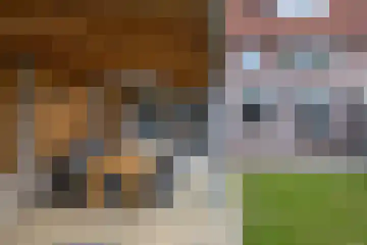 Boekweit 10 Eersel thumbnail 31