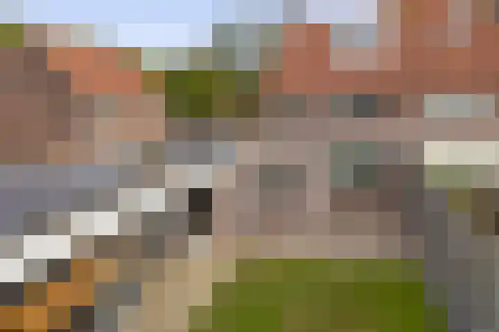 Boekweit 10 Eersel thumbnail 33