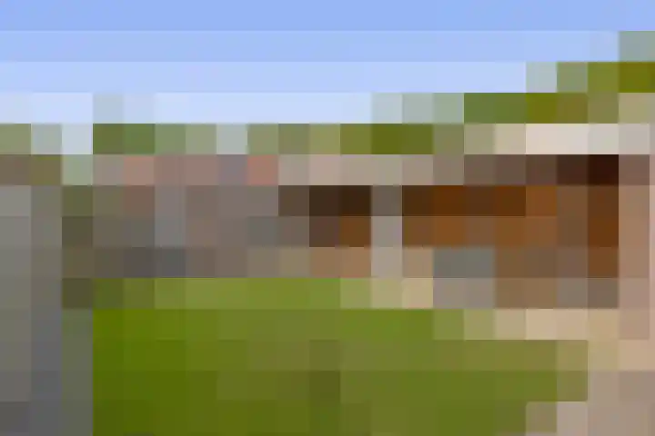 Boekweit 10 Eersel thumbnail 34