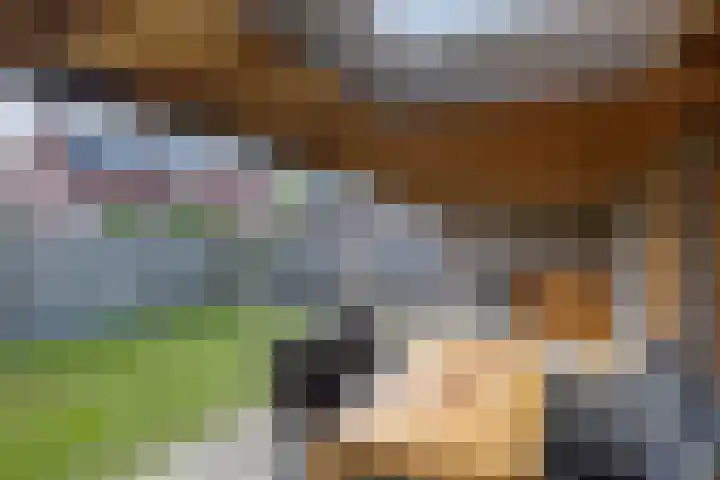 Boekweit 10 Eersel thumbnail 35