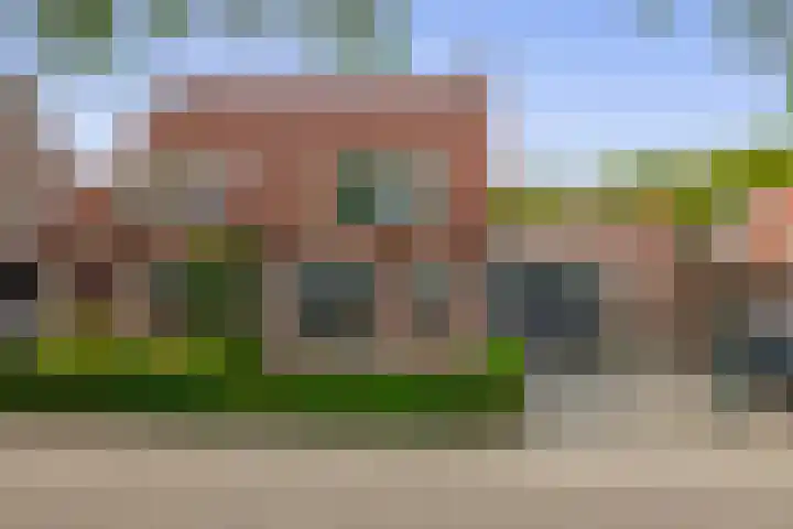 Boekweit 10 Eersel thumbnail 38