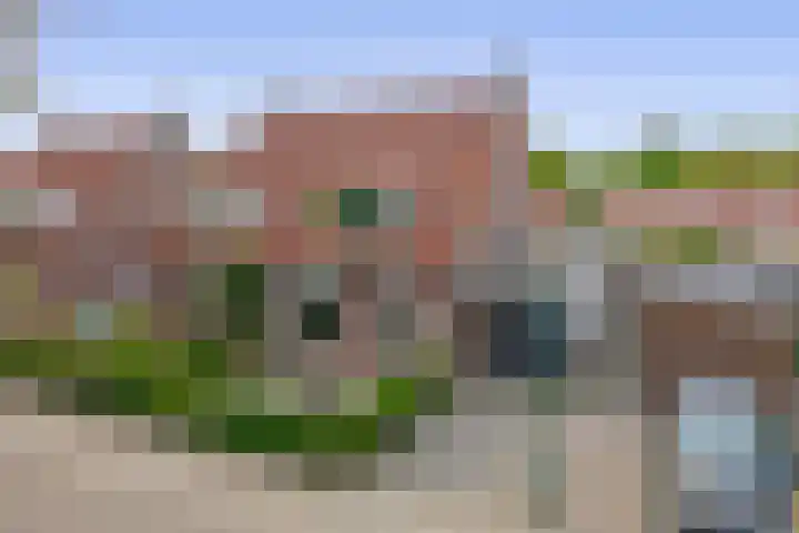 Boekweit 10 Eersel thumbnail 39
