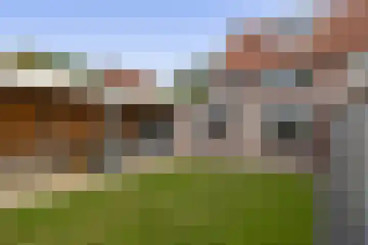 Boekweit 10 Eersel thumbnail 4