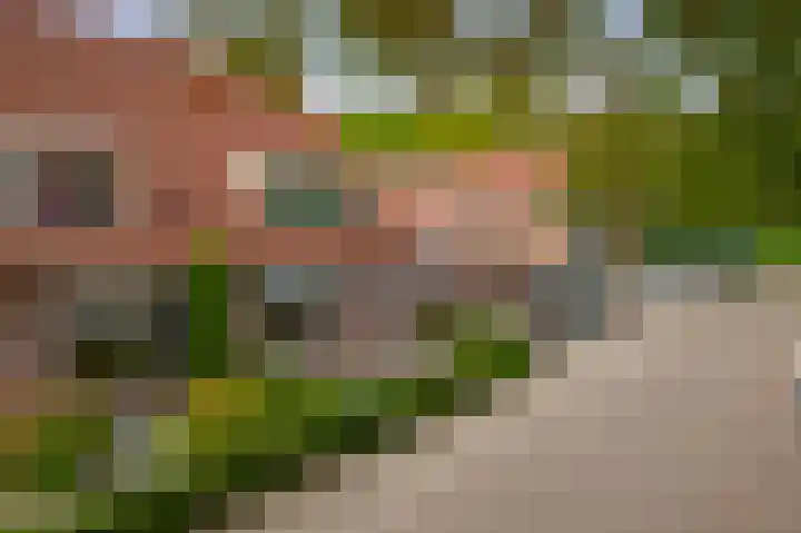Boekweit 10 Eersel thumbnail 40