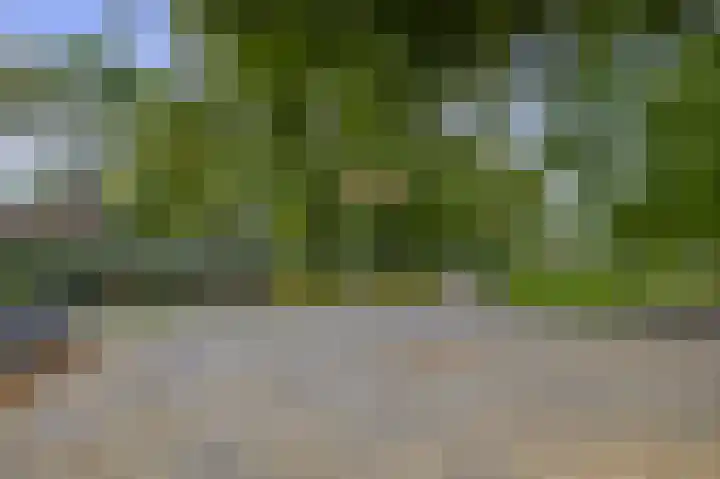 Boekweit 10 Eersel thumbnail 41