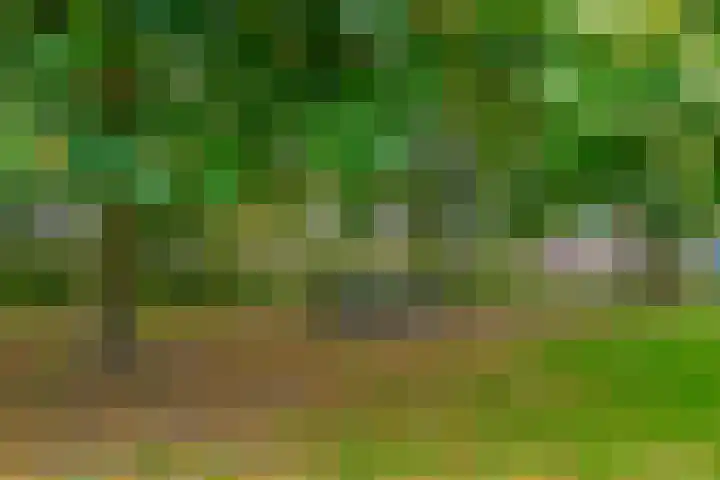 Boekweit 10 Eersel thumbnail 43
