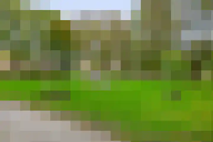 Boekweit 10 Eersel thumbnail 44