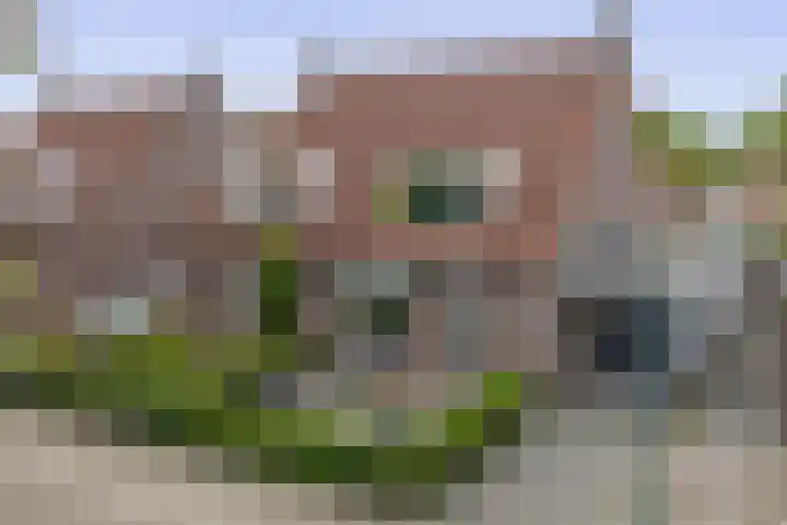 Boekweit 10 Eersel thumbnail 5