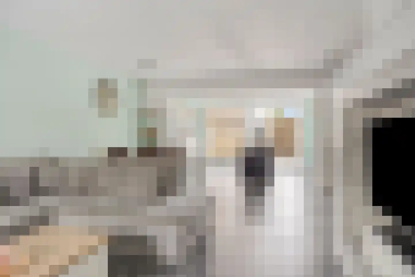 Boekweit 13 Mierlo thumbnail 11