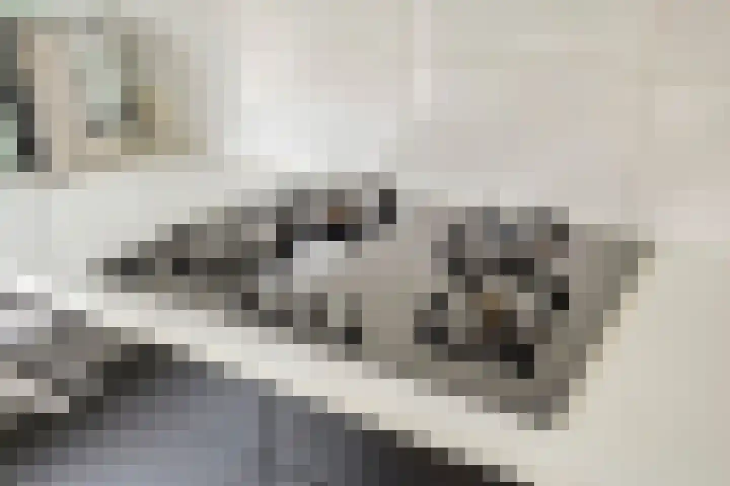 Boekweit 13 Mierlo thumbnail 19