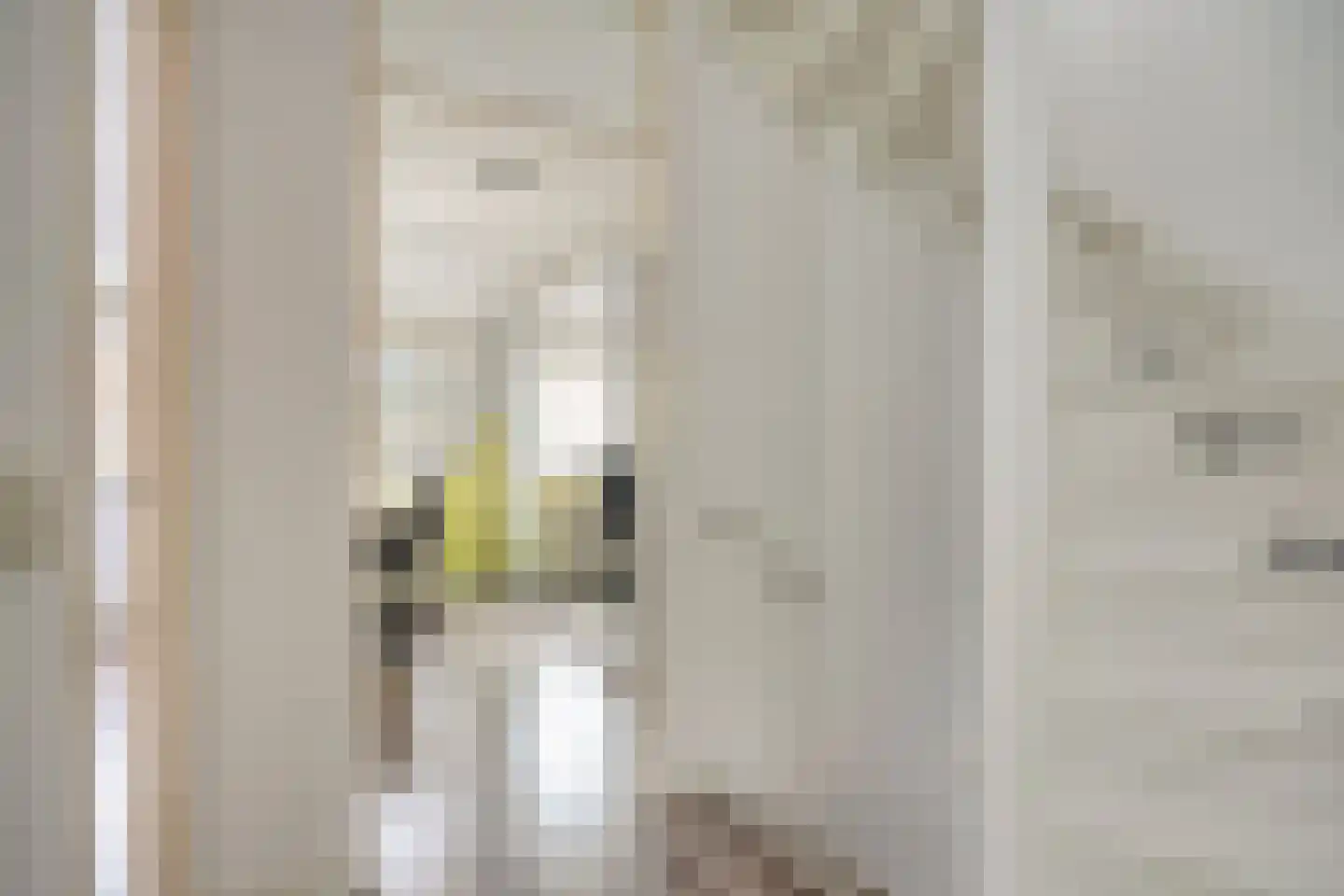 Boekweit 13 Mierlo thumbnail 22