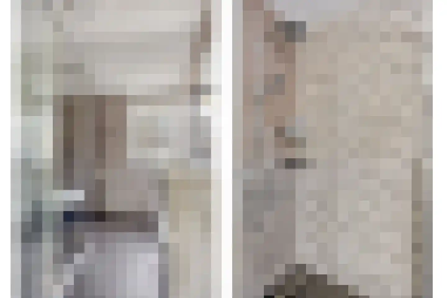 Boekweit 13 Mierlo thumbnail 24