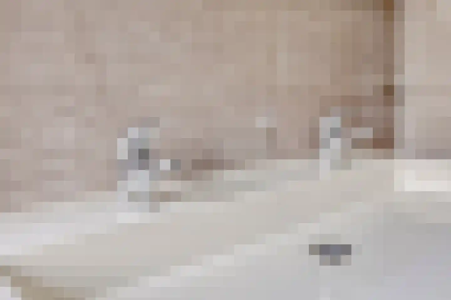 Boekweit 13 Mierlo thumbnail 25